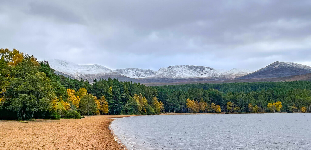 Snow Capped by lifeat60degrees