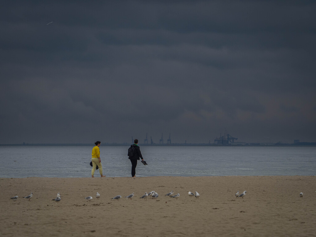 A walk by the sea by haskar