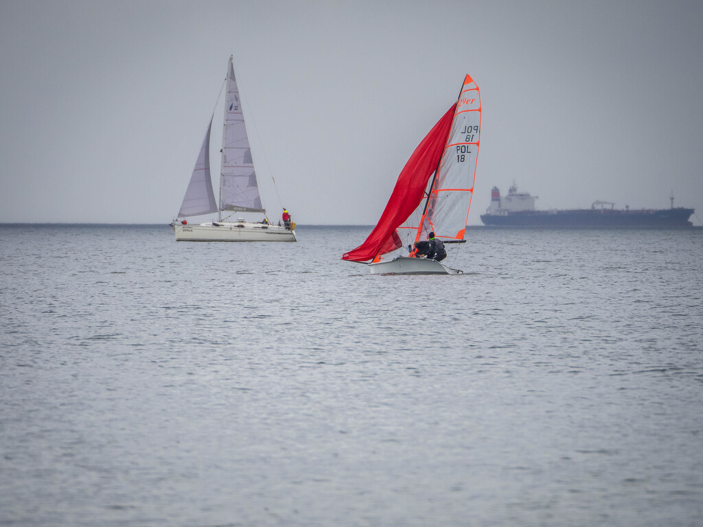 Red sail by haskar