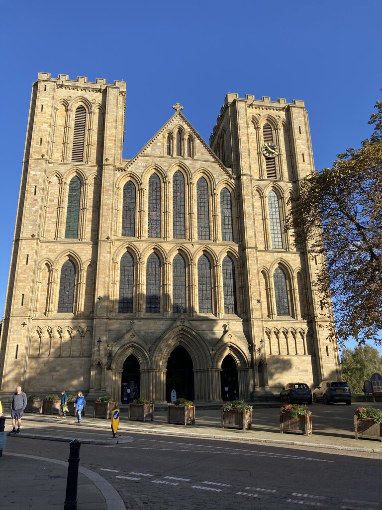 Ripon Cathedral  by illinilass