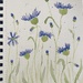 Cornflower, watercolor