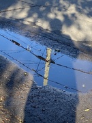 10th Oct 2024 - Shadow and Reflection
