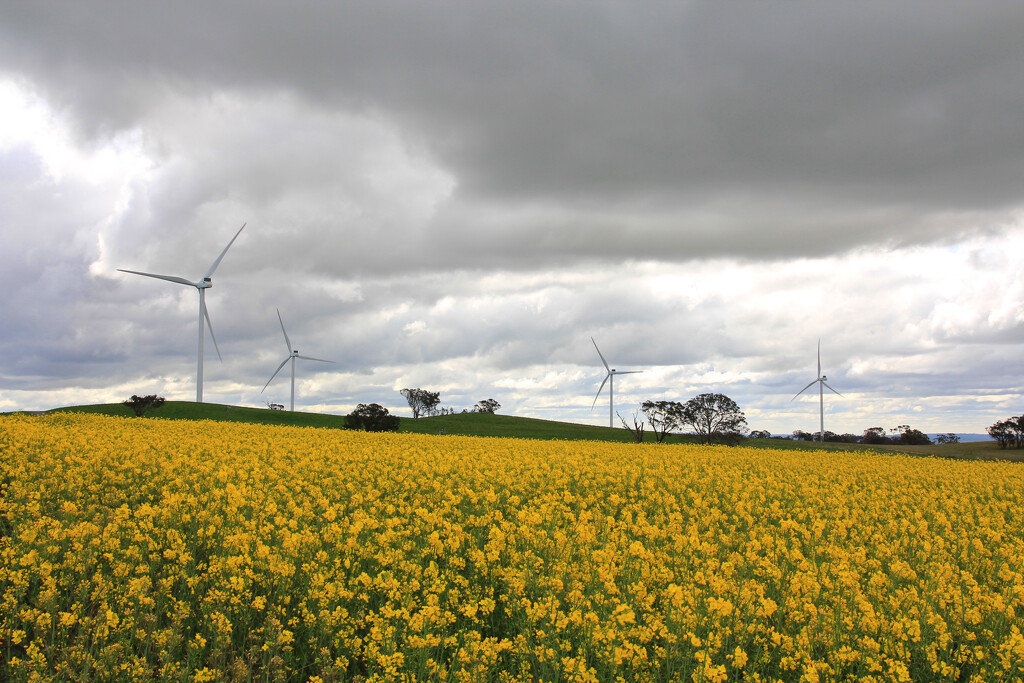 Windmills on the hill by leggzy