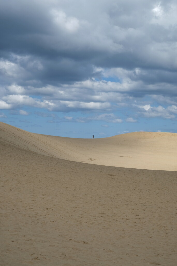 dune by minsky365