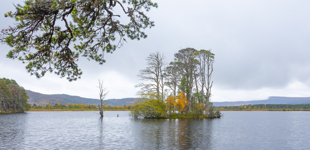 Another Day Another Loch by lifeat60degrees