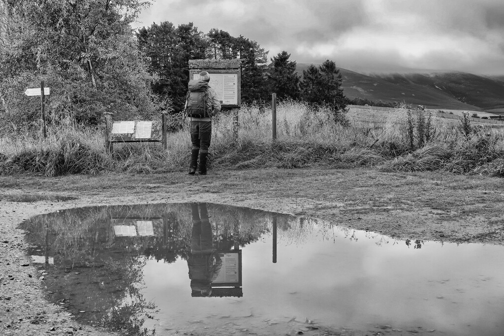 Glenlivet Estate Walks by jamibann