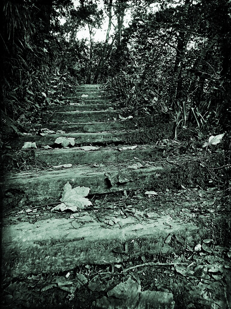 Quarrymen Steps by ajisaac