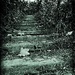 Quarrymen Steps by ajisaac