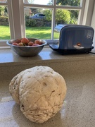 3rd Oct 2024 - Puffball and Grushovka tomatoes 