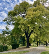 10th Oct 2024 - Lunch in the park