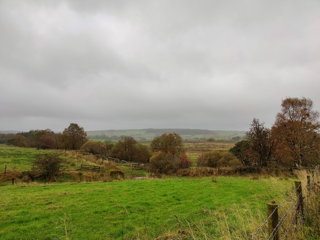 A cold, drizzly walk on an all staff meeting day by roachling