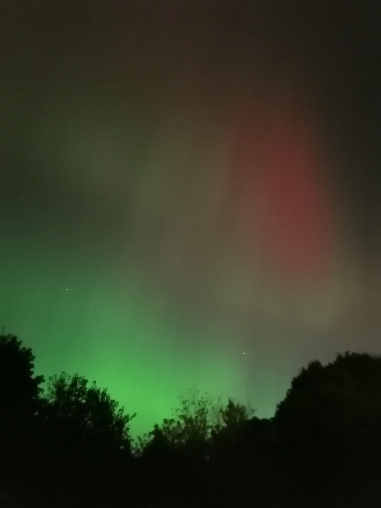 Backyard Aurora Borealis  by princessicajessica