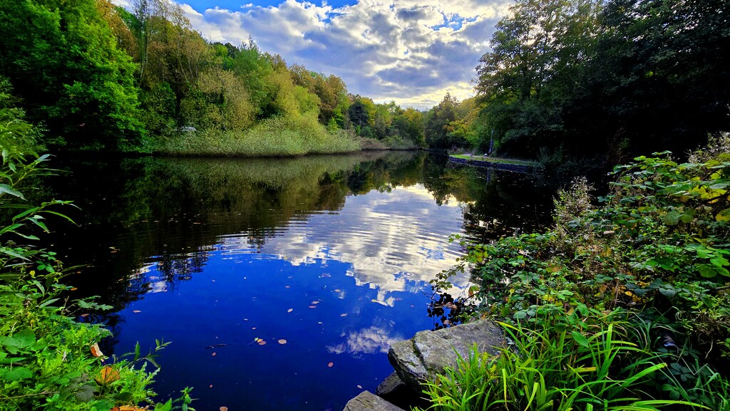 285/366 - Rivelin by isaacsnek