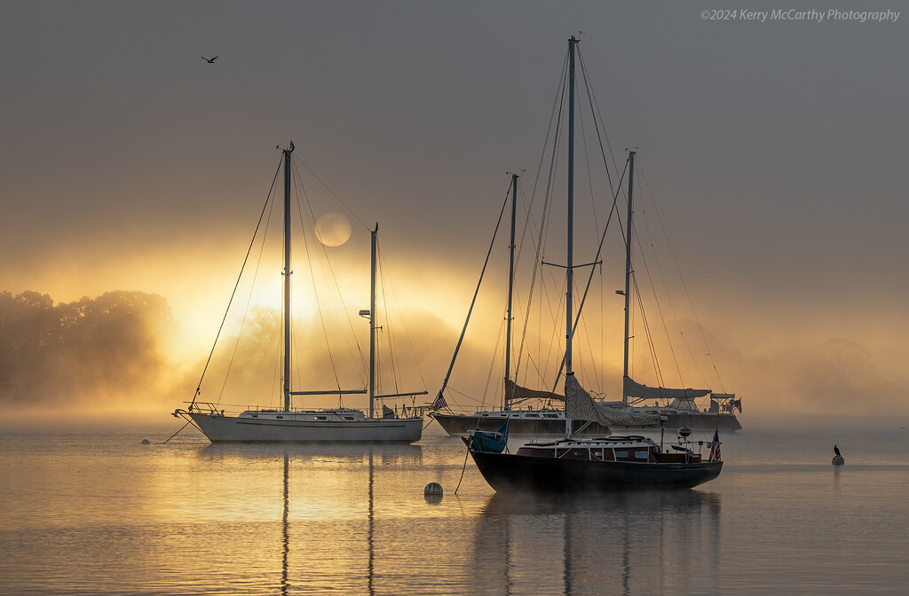 Sun peeking through the fog. by mccarth1