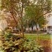 Courtyard Seating 