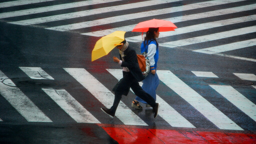 shibuya dash by minsky365