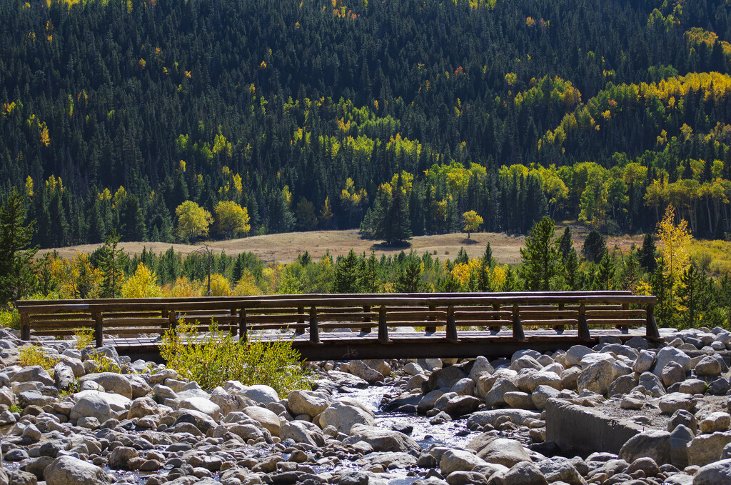 A bridge to fall... by ggshearron