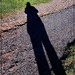 The Long, Tall Shadow of Fall