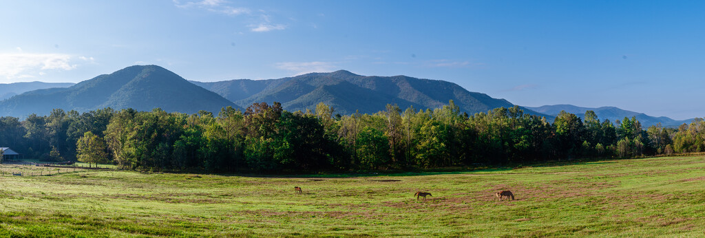 Cades cove by myhrhelper