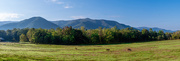 7th Oct 2024 - Cades cove