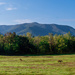 Cades cove