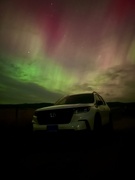 10th Oct 2024 - Northern Lights