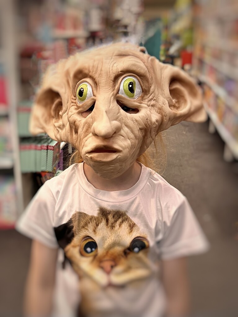 Dobby by kjarn