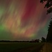 Aurora, Coopersville Michigan 