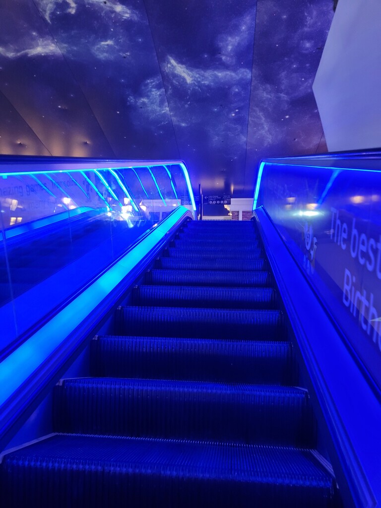 Blue escalator by clearday