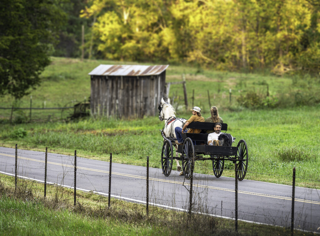 Tennessee Horse and Carriage Riders by myhrhelper