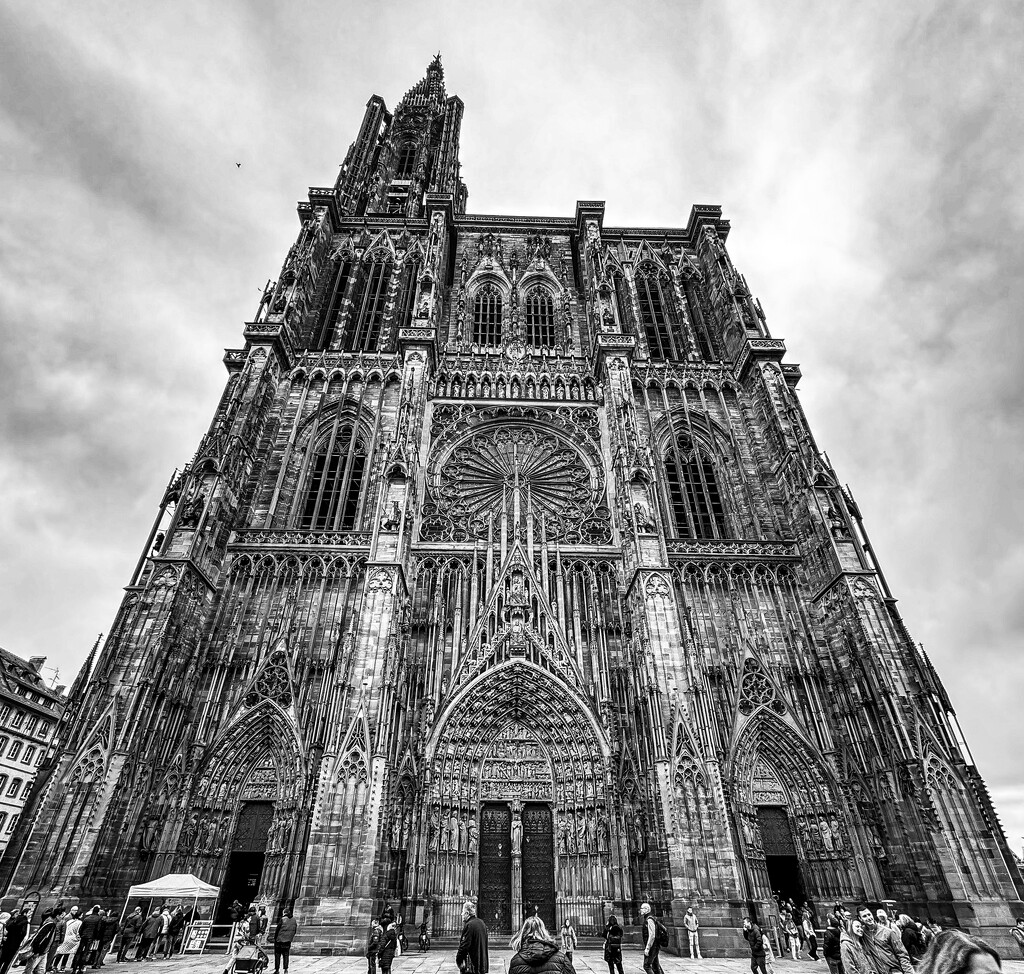 Strasbourg Cathedral by kwind