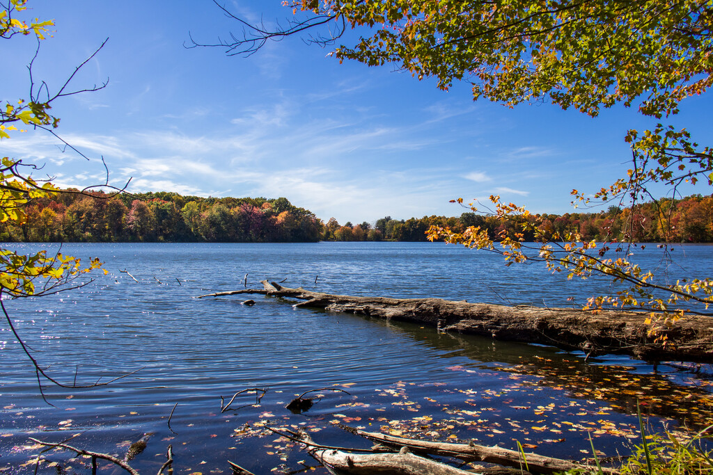 Down on the lake by batfish