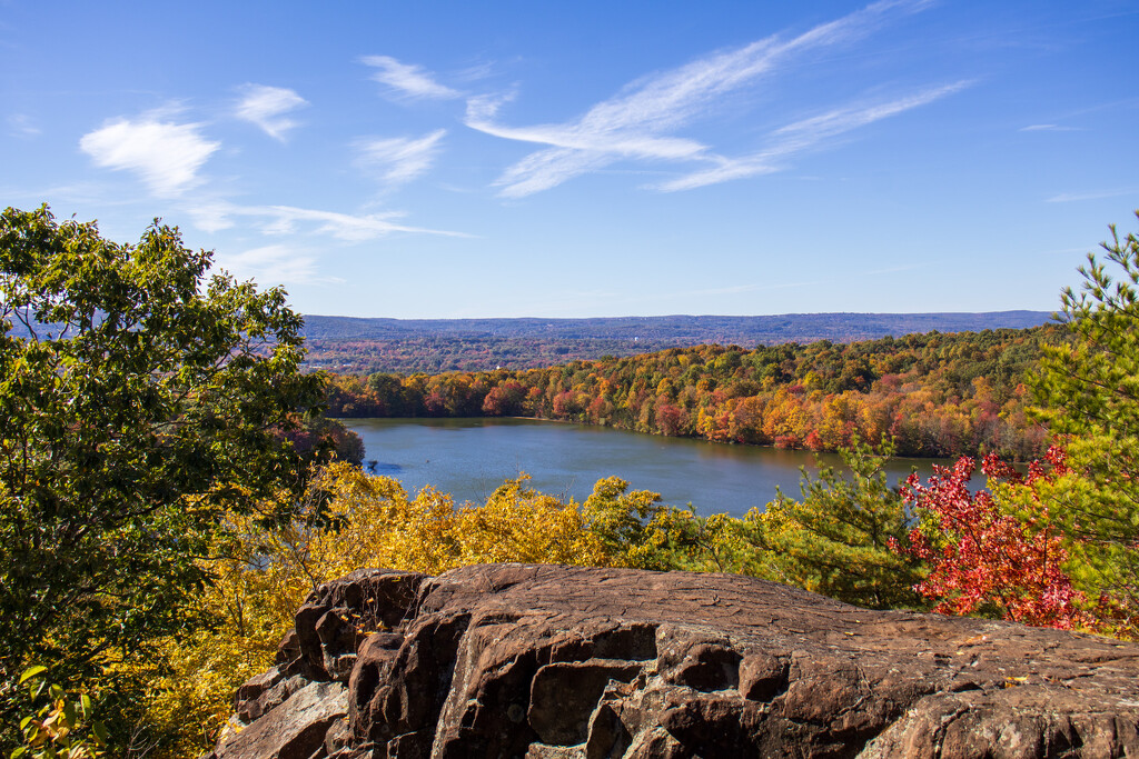 Up over the lake by batfish