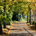 Autumn on the Bike Path