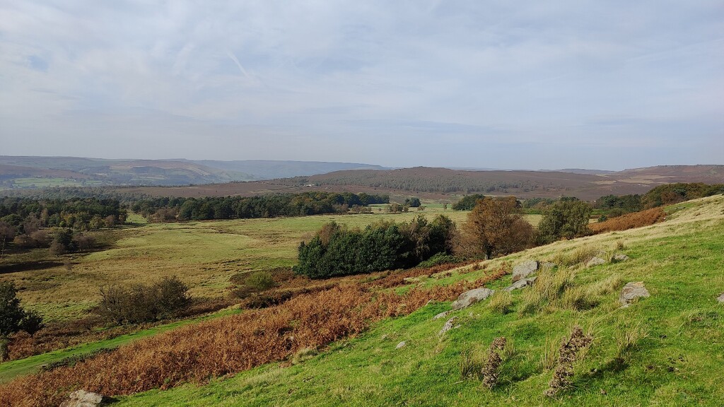 Longshaw Estate by roachling