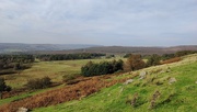 8th Oct 2023 - Longshaw Estate