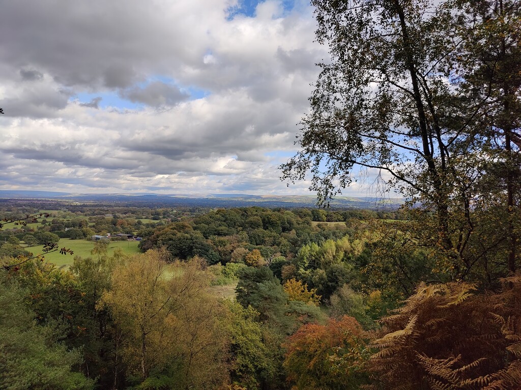 Autumnal view by roachling