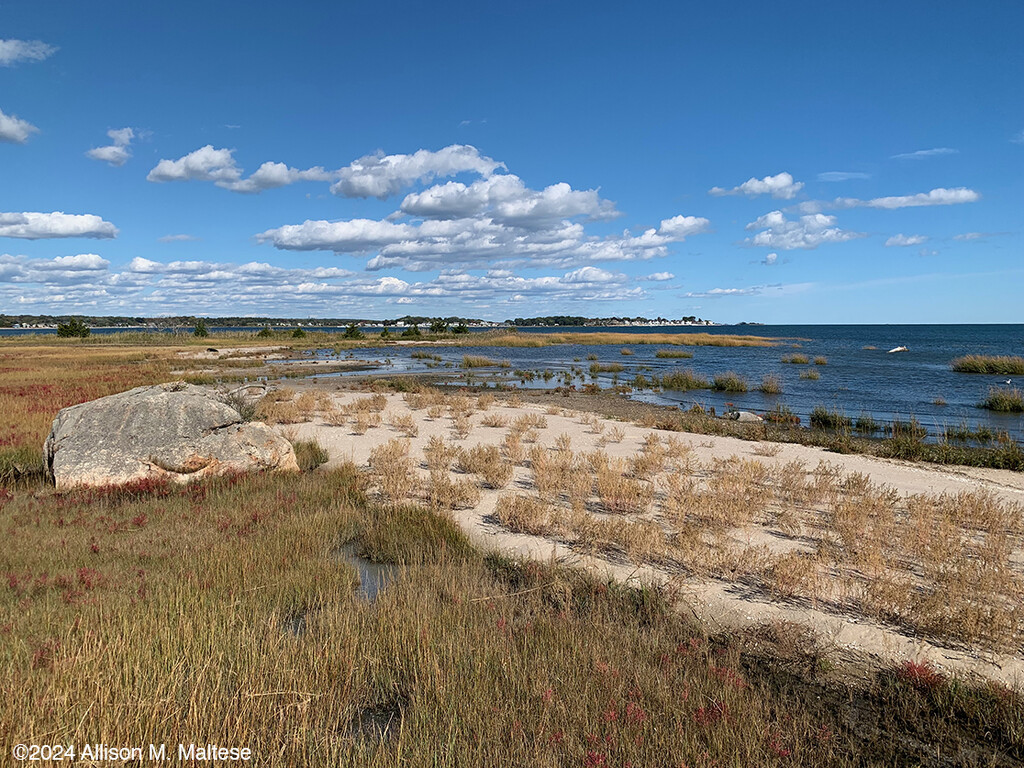 Across the Marsh by falcon11