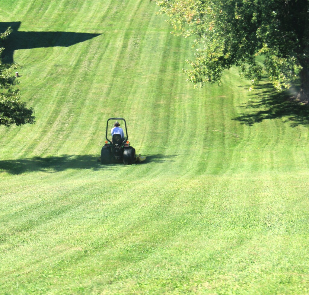 Some Grass To Mow by digitalrn