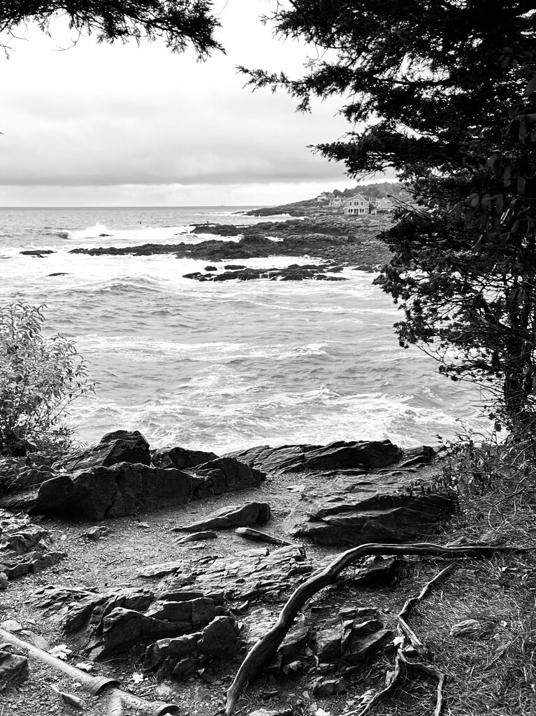 Marginal Way #2 by fperrault