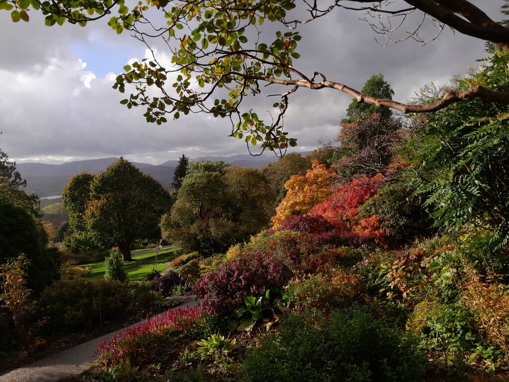 Autumn colours by anniesue