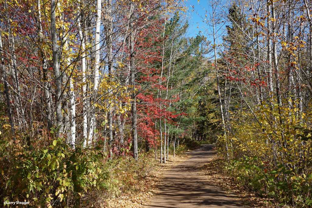 Fall colors by larrysphotos