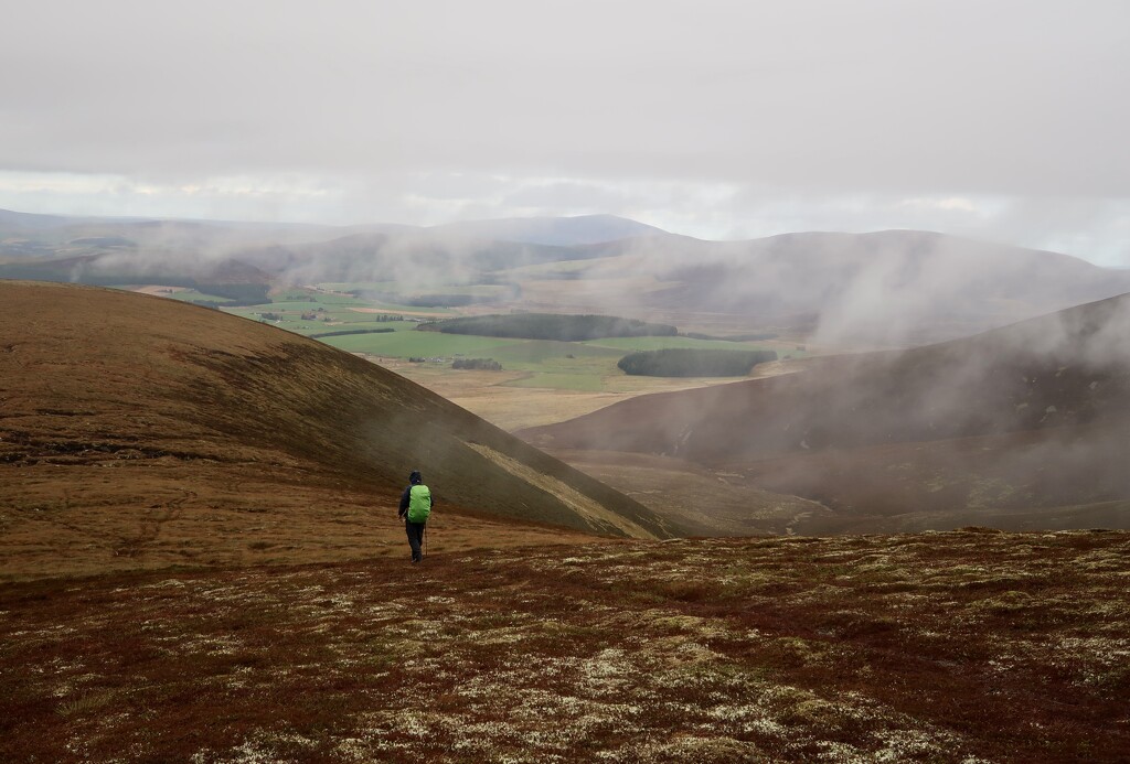 The Ladder Hills by jamibann