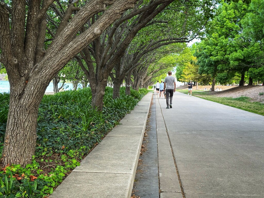 Lake walk by pusspup