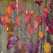 Autumn Colour in our Garden