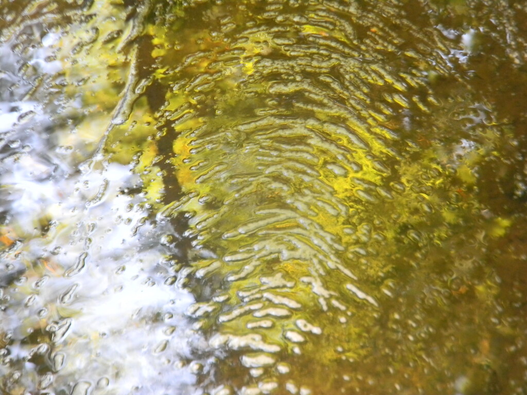 Yellow Reflection in Creek  by sfeldphotos