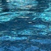 Pool Water (13)