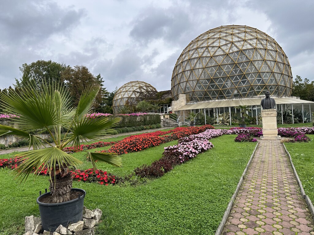 Botanical Garden in Jibou by selenaiacob