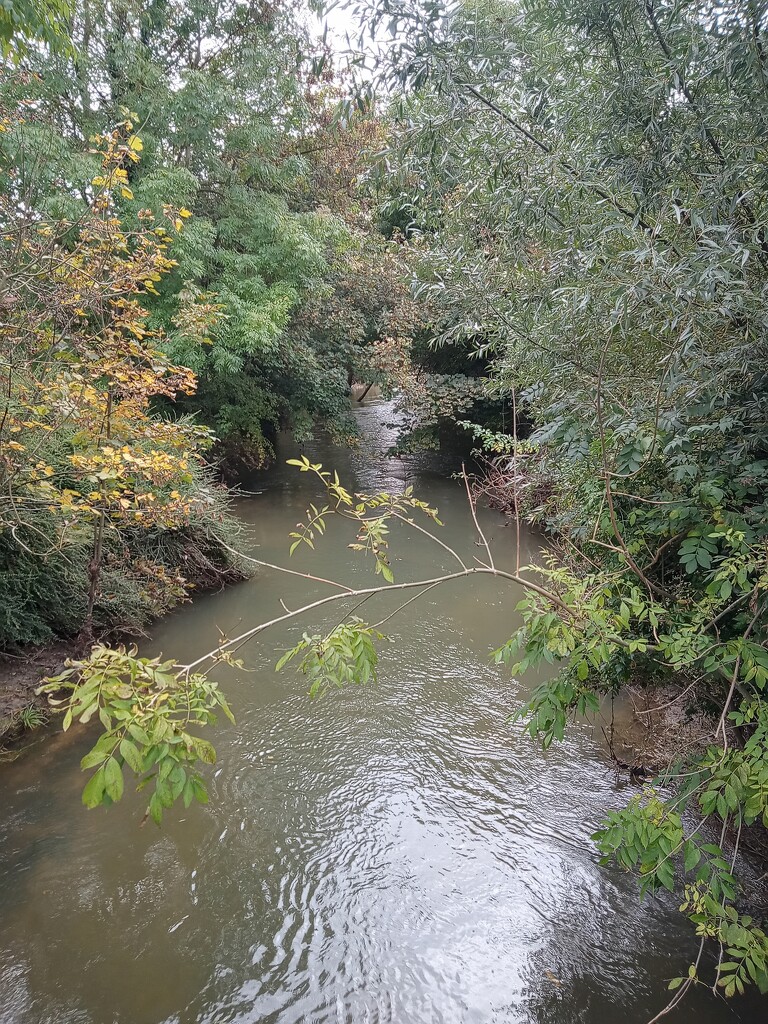 View from a bridge by 365projectorgjoworboys