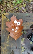 12th Oct 2023 - Leaf Monster